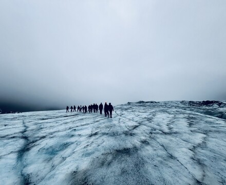 IMG 0626